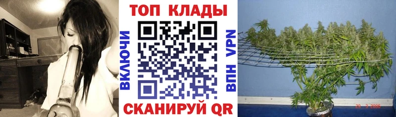 Псилоцибиновые грибы Онега