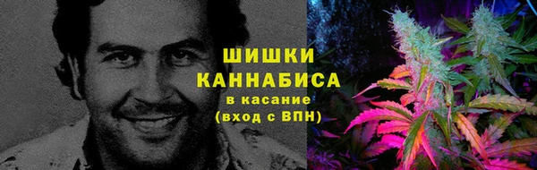 метадон Аркадак