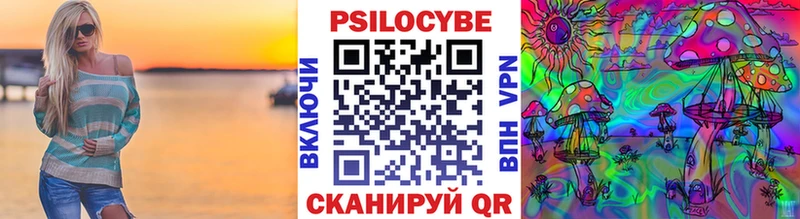 Псилоцибиновые грибы Psilocybine cubensis  Онега 